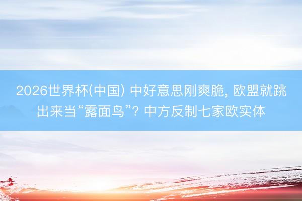 2026世界杯(中国) 中好意思刚爽脆, 欧盟就跳出来当“露面鸟”? 中方反制七家欧实体