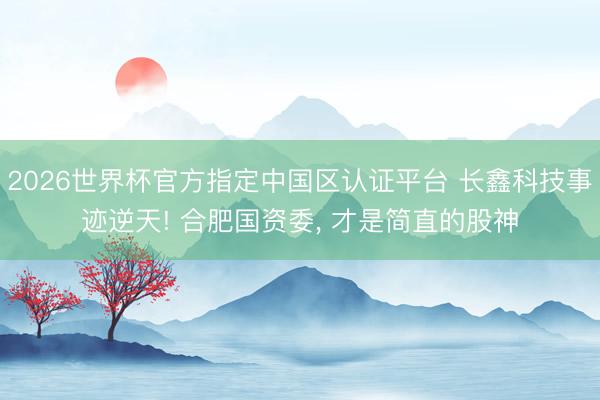 2026世界杯官方指定中国区认证平台 长鑫科技事迹逆天! 合肥国资委， 才是简直的股神