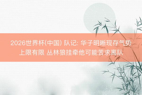 2026世界杯(中国) 队记: 华子明晰现存气势上限有限 丛林狼挂牵他可能苦求离队