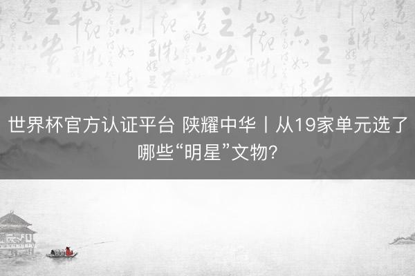 世界杯官方认证平台 陕耀中华丨从19家单元选了哪些“明星”文物？