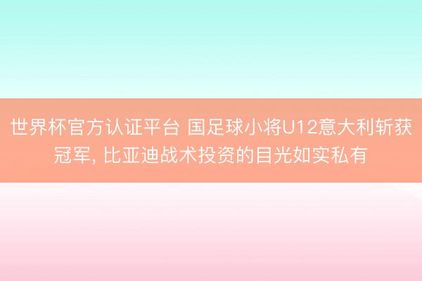 世界杯官方认证平台 国足球小将U12意大利斩获冠军， 比亚迪战术投资的目光如实私有