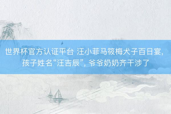 世界杯官方认证平台 汪小菲马筱梅犬子百日宴, 孩子姓名“汪吉辰”, 爷爷奶奶齐干涉了