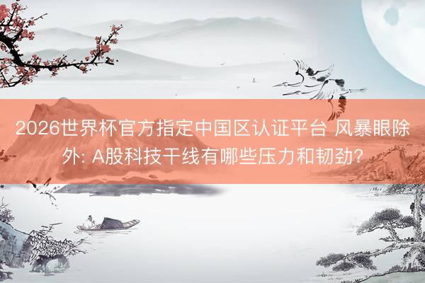 2026世界杯官方指定中国区认证平台 风暴眼除外: A股科技干线有哪些压力和韧劲?
