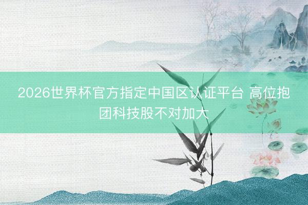 2026世界杯官方指定中国区认证平台 高位抱团科技股不对加大