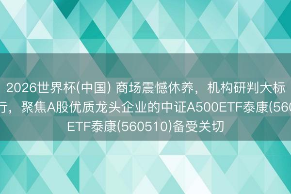 2026世界杯(中国) 商场震憾休养，机构研判大标的仍然有望上行，聚焦A股优质龙头企业的中证A500ETF泰康(560510)备受关切