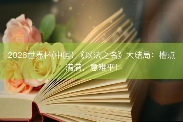 2026世界杯(中国) 《以法之名》大结局：槽点满满，意难平！