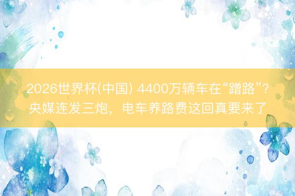 2026世界杯(中国) 4400万辆车在“蹭路”?央媒连发三炮，<a href=