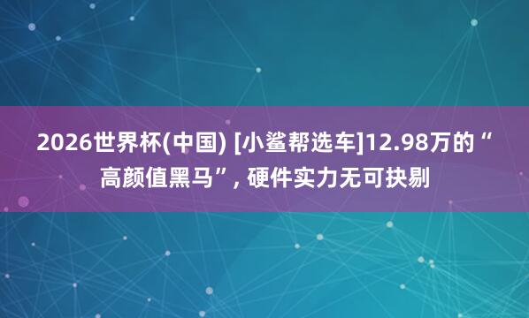 2026世界杯(中国) [小鲨帮选车]12.98万的“高颜值黑马”， 硬件实力无可抉剔