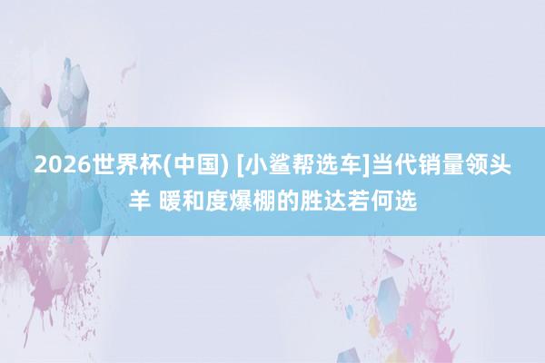 2026世界杯(中国) [小鲨帮选车]当代销量领头羊 暖和度爆棚的胜达若何选